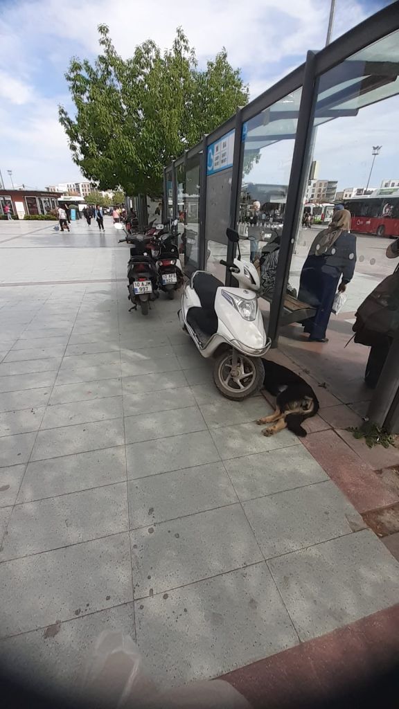 Balıkesir şehir merkezinde bulunan otobüs duraklarının arka bölümleri, motosikletlerle işgal