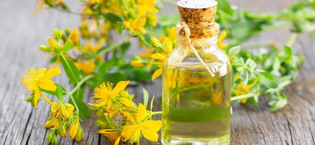 Balıkesir’in bereketli topraklarında yetişen sarı kantaron bitkisinden elde edilen kantaron