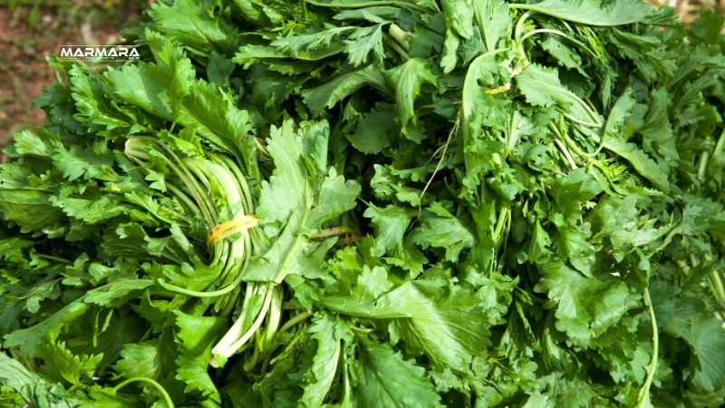 3 14 - Marmara Bölge Gazetesi