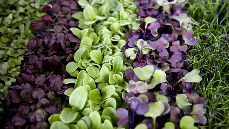 4 13 - Marmara Bölge Gazetesi