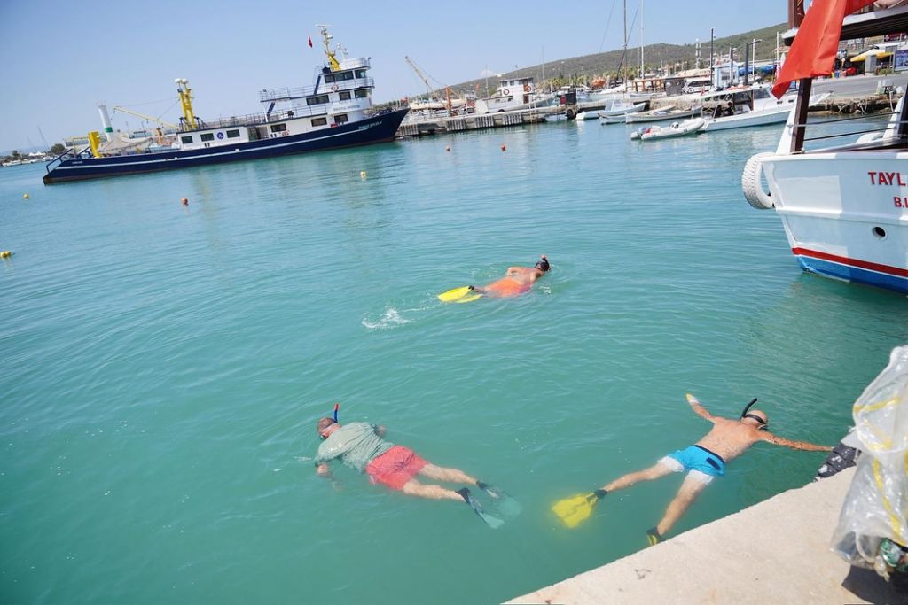 Ayvalık’ta Deniz Temizliği: Dalgıçlar Çöple Yarıştı! 527029736 18493274461064151 660141542429271823 n - Marmara Bölge Gazetesi