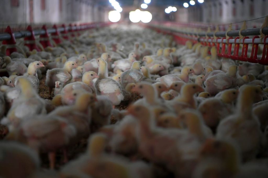 527258009 18301524370222704 7243111991858090484 n - Marmara Bölge Gazetesi