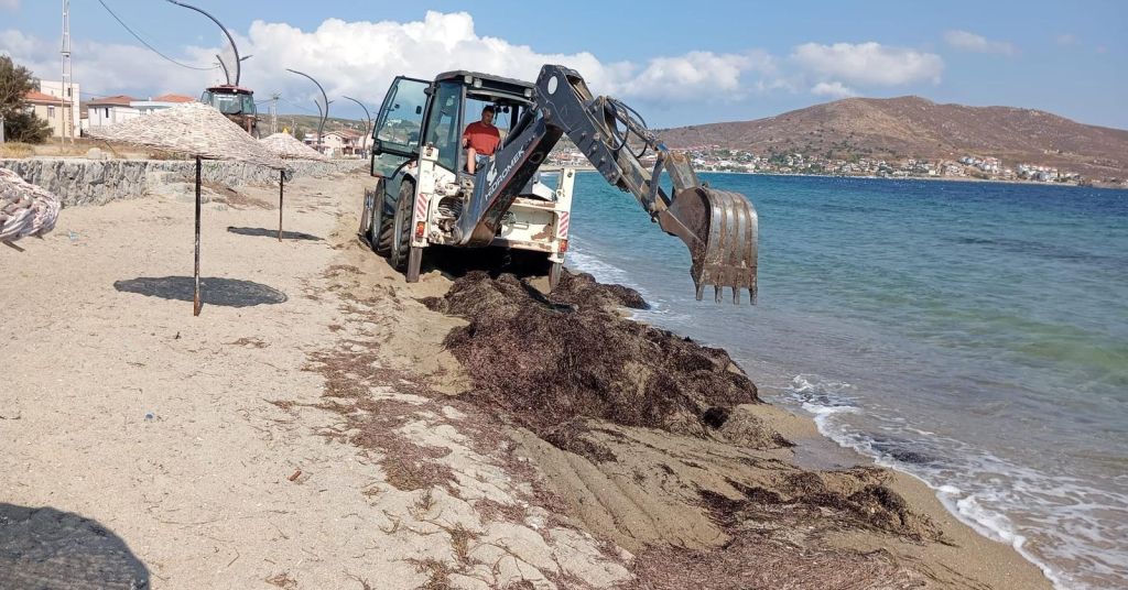 Marmara Adalar Belediyesi, yaz sezonuyla birlikte sahil temizliği ve taş