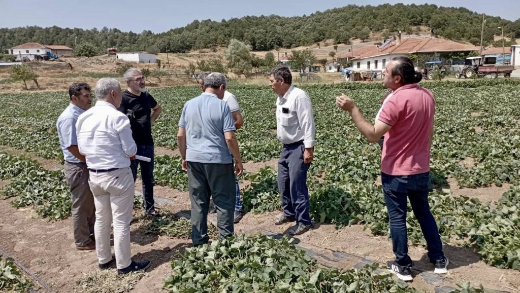 528758615 1159557026215158 6407609583862277833 n - Marmara Bölge Gazetesi