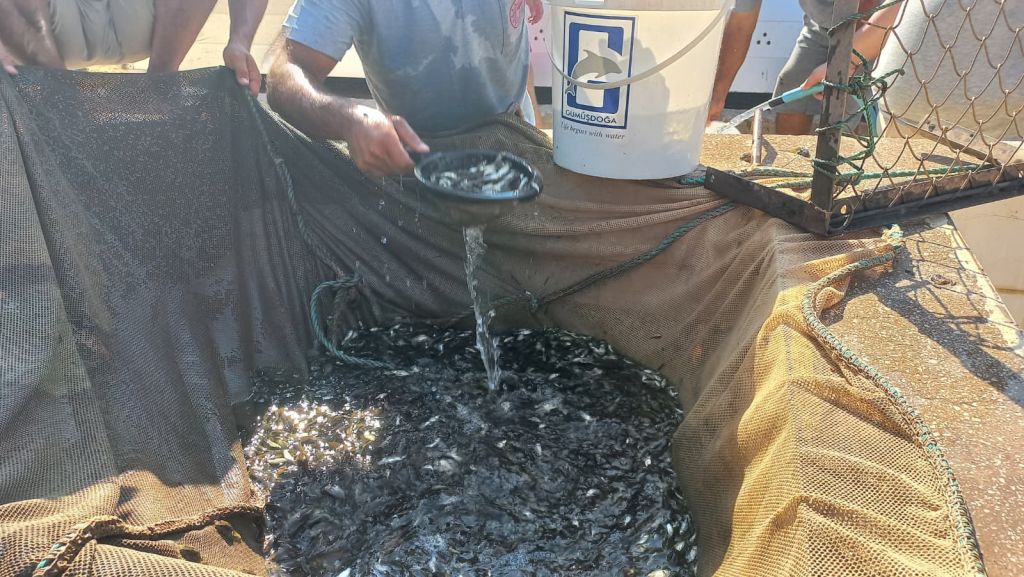 529376876 1158297196341141 9147117601785711409 n - Marmara Bölge Gazetesi