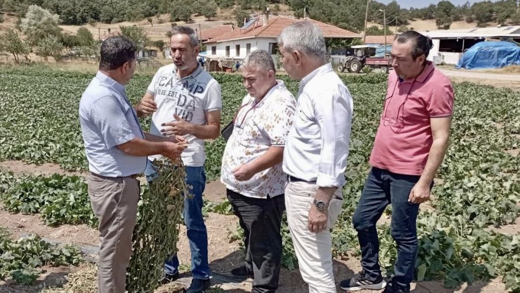 529476225 1159557059548488 465839824910609913 n - Marmara Bölge Gazetesi