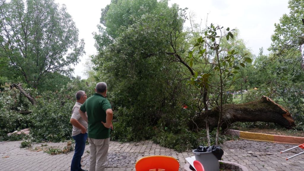 Susurluk Geceden Bu Yana Ayakta! 530093127 1321276263334911 3515891990601730607 n - Marmara Bölge Gazetesi