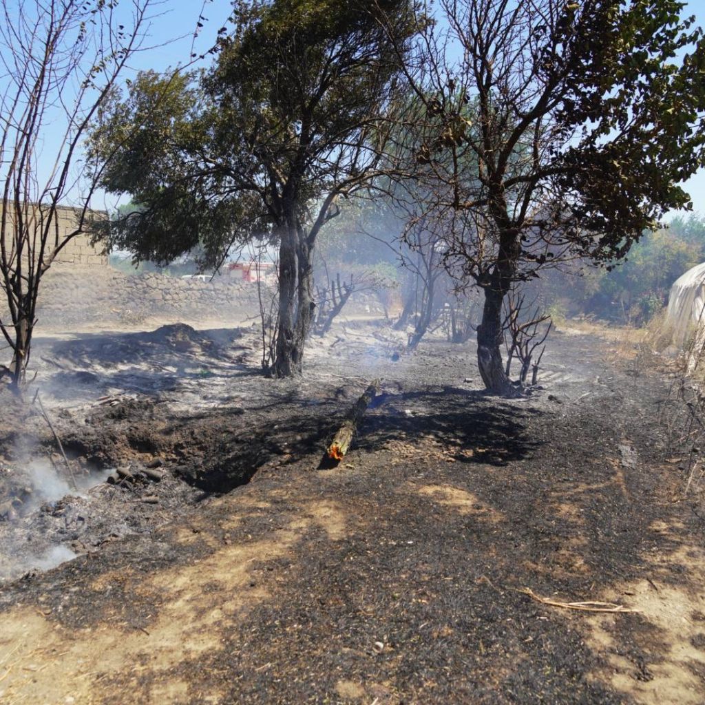 530621795 771129795278048 1024206210844064170 n - Marmara Bölge Gazetesi