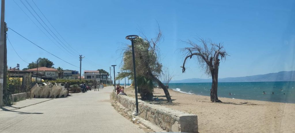 Burhaniye Belediyesi, yaz sezonunda halk plajlarının işgal edilmesini önlemek amacıyla