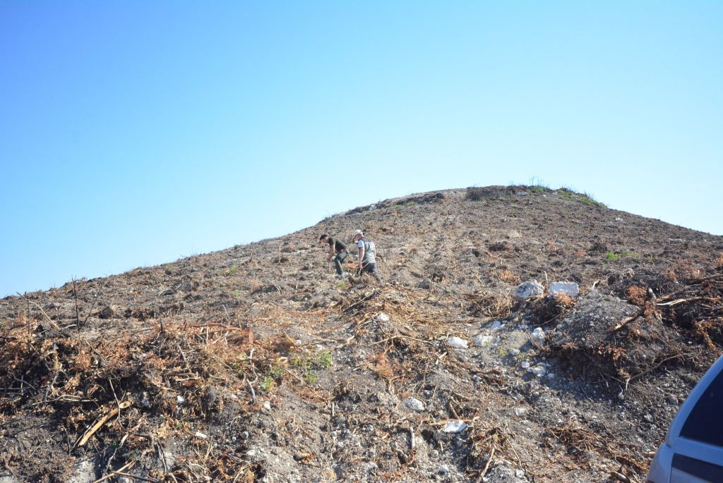 Balıkesir Orman Bölge Müdürlüğü, geçtiğimiz yıl orman yangınlarında zarar gören