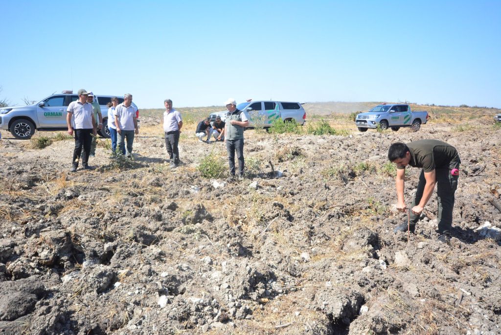 532937133 1216018560566480 1650359165059104986 n - Marmara Bölge Gazetesi