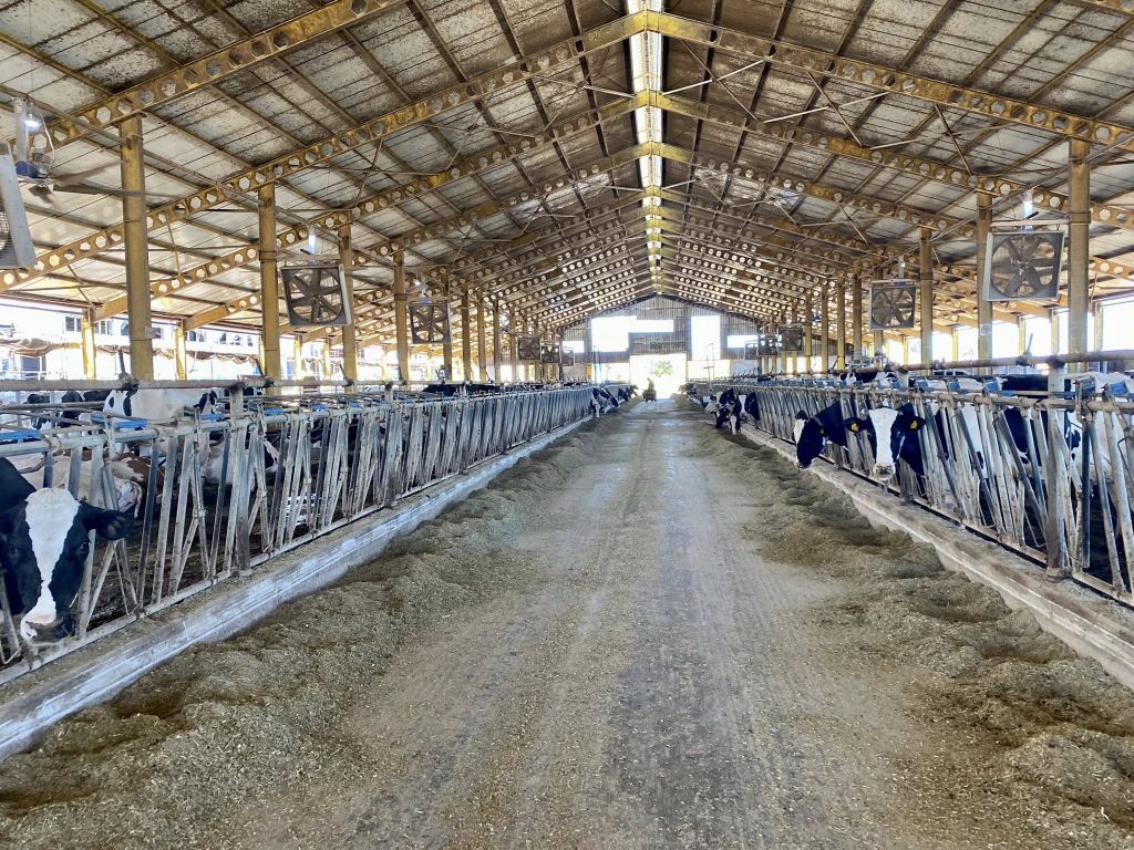 Balıkesir İl Tarım ve Orman Müdürü Dr. Hüseyin Düzgün, Karesi