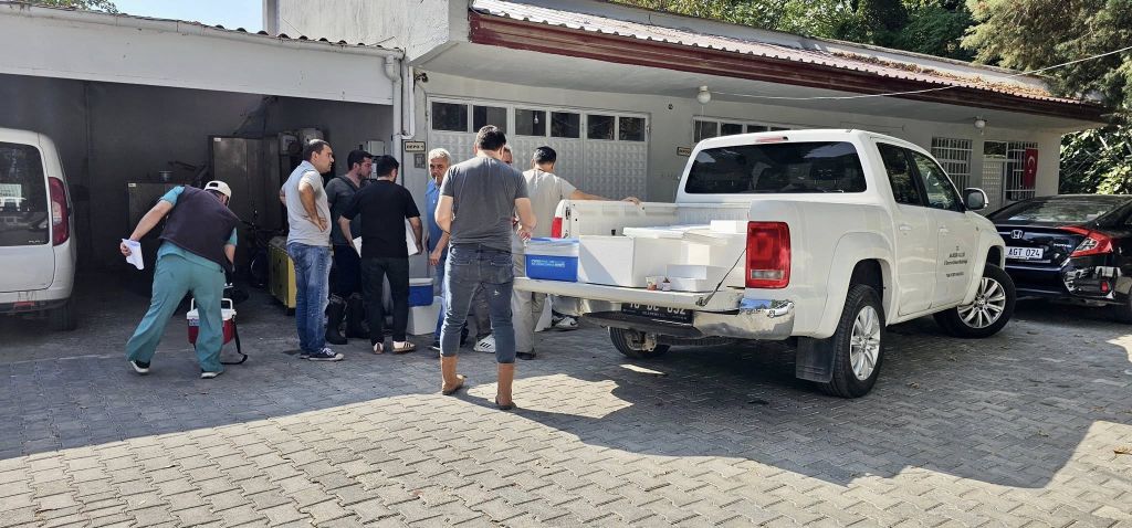 Balıkesir İl Tarım ve Orman Müdürlüğü ekipleri, 10 Ağustos’ta Sındırgı’da