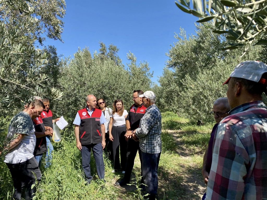 Balıkesir’de Zeytin ve Zeytinyağı Kalitesi İçin Alarm! 539597840 1175287104642150 1593204742421653925 n - Marmara Bölge Gazetesi