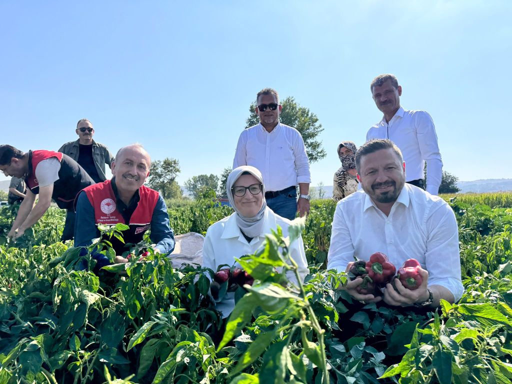 C Vitamini Zengini Kapya Biber Sağlık Dağıtır: Cildi Parlatır, Bağışıklığı Korur 540001399 1178638494307011 6557225651580189155 n - Marmara Bölge Gazetesi