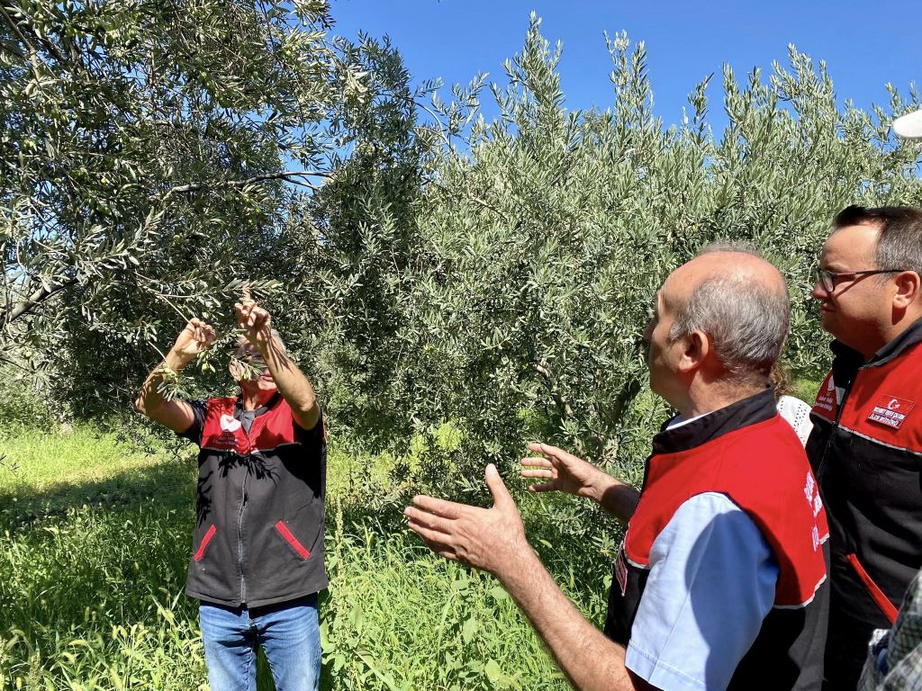 Balıkesir’de Zeytin ve Zeytinyağı Kalitesi İçin Alarm! 540679437 1175287114642149 2022007975684726077 n - Marmara Bölge Gazetesi