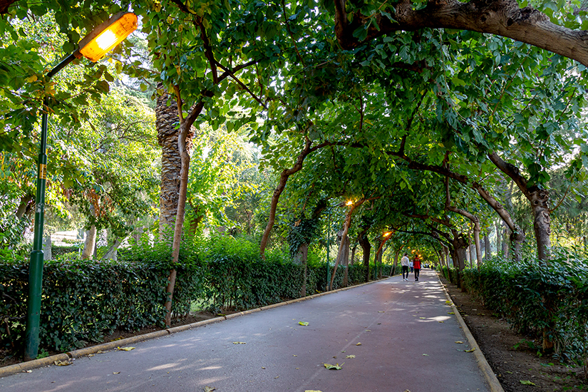 Doğayla tarihin iç içe geçtiği Dutlu Yol, yürüyüş ve bisiklet