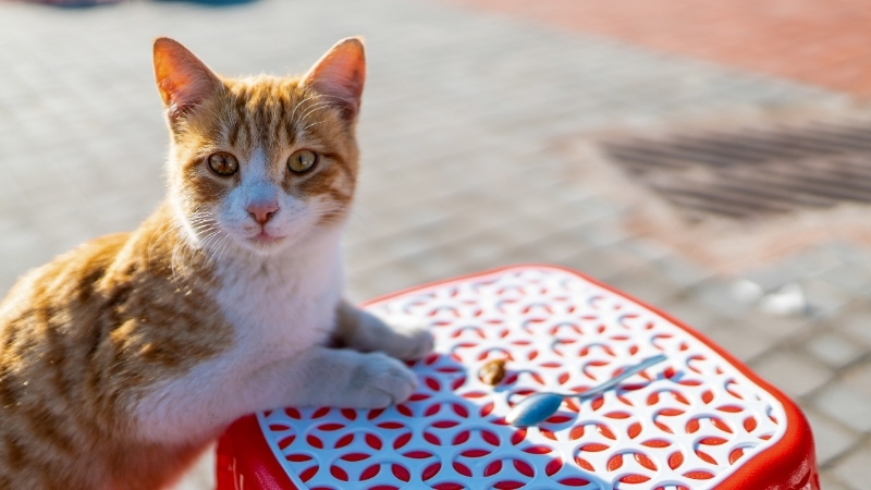 7 - Marmara Bölge Gazetesi