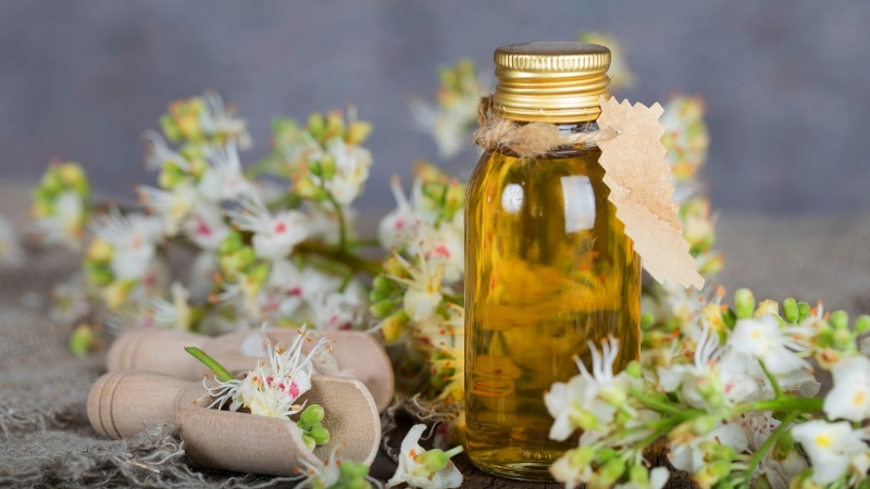 AT KESTANESI YAGI - Marmara Bölge Gazetesi