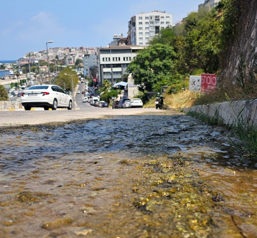 AW510578 03 1 - Marmara Bölge Gazetesi