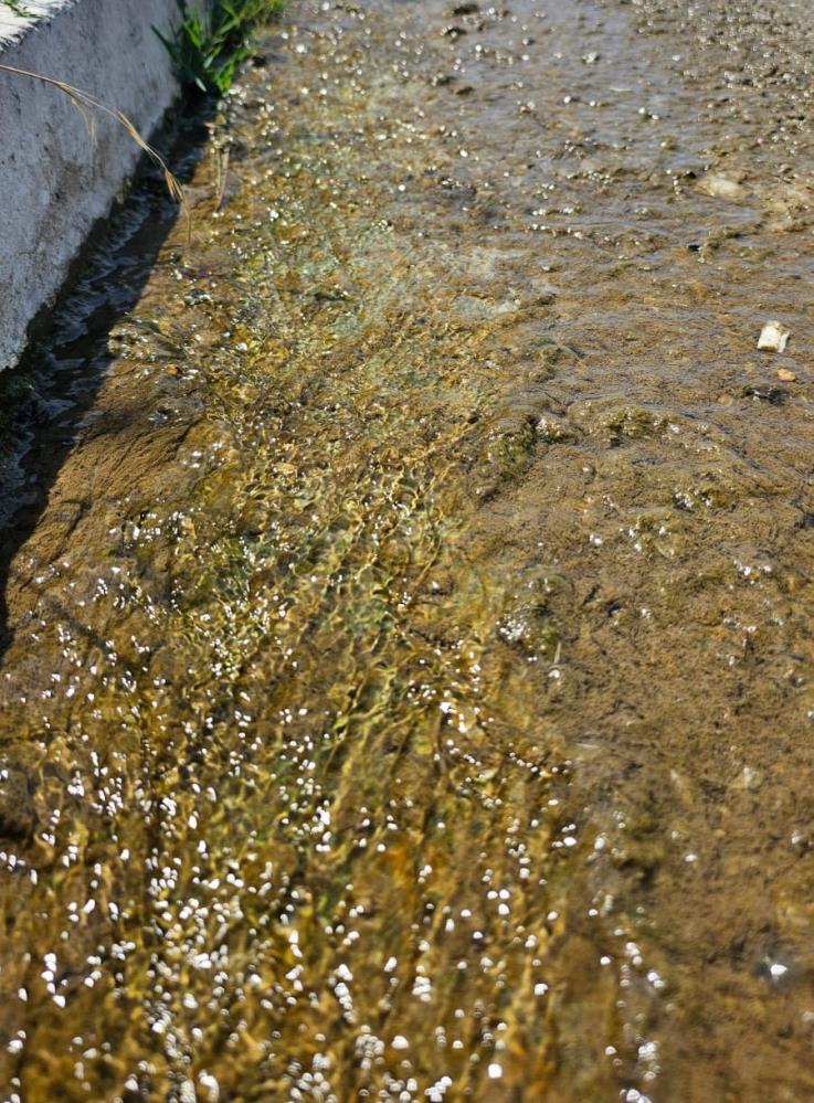 AW510578 04 - Marmara Bölge Gazetesi