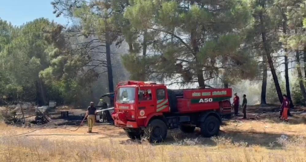 Gönen Tırnova’da Yangın Paniği! AW510731 02 - Marmara Bölge Gazetesi