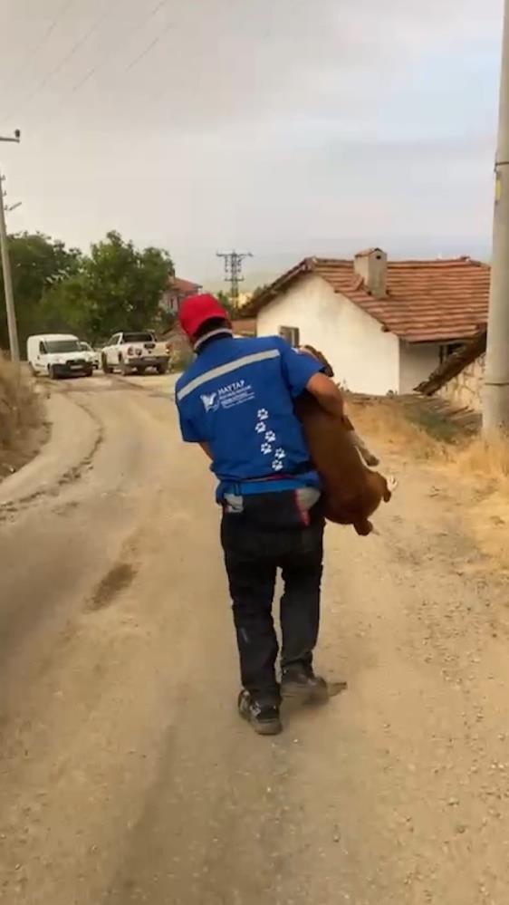 Bıdık Alevlerden Çekip Alındı AW511026 02 - Marmara Bölge Gazetesi