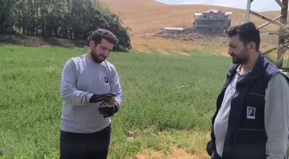 Kutuyu Açınca Hayatlarının Şokunu Yaşadılar! AW512755 01 - Marmara Bölge Gazetesi