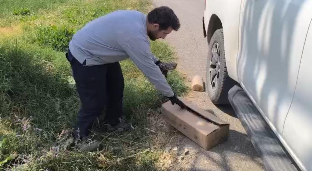 Kutuyu Açınca Hayatlarının Şokunu Yaşadılar! AW512755 02 - Marmara Bölge Gazetesi
