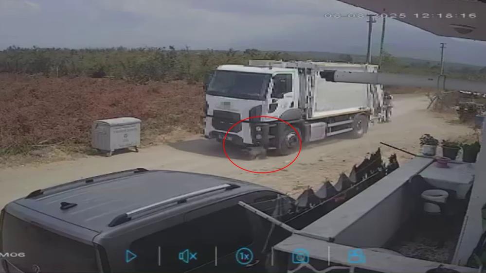 Oyun Faciası! İki Köpek Çöp Kamyonunun Altında Kaldı AW513692 02 - Marmara Bölge Gazetesi