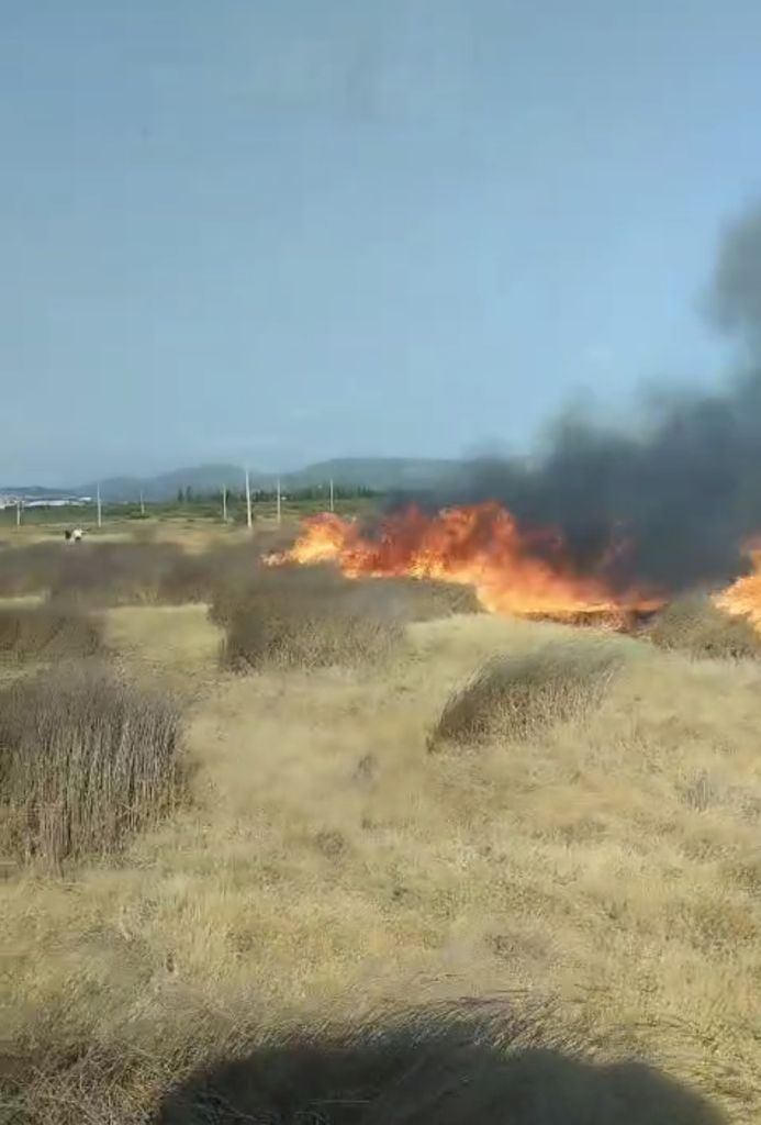 AW513744 02 - Marmara Bölge Gazetesi