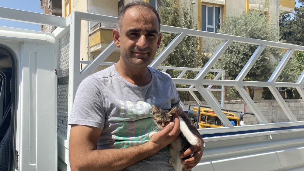 Bir Miyav Sesi Duydu, Hayatı Değişti! AW513931 01 - Marmara Bölge Gazetesi