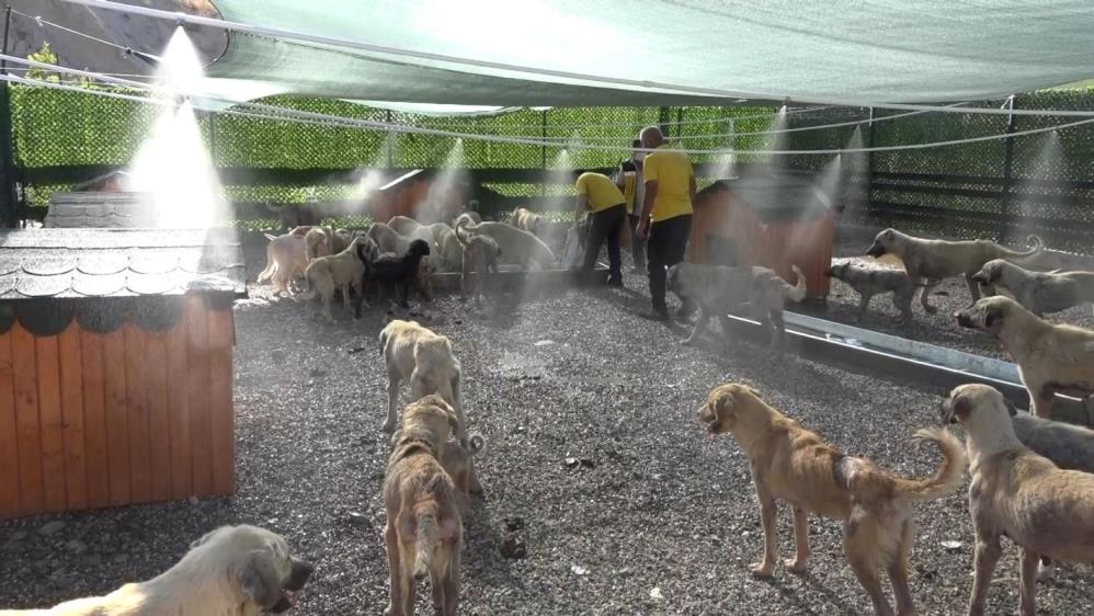 Kavurucu Sıcakta Böyle Serinlediler! AW513940 02 - Marmara Bölge Gazetesi
