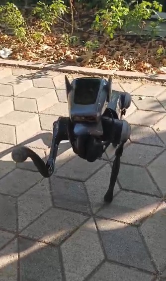 Geleceğin Evcil Hayvanı Robot Köpek AW515715 03 1 - Marmara Bölge Gazetesi