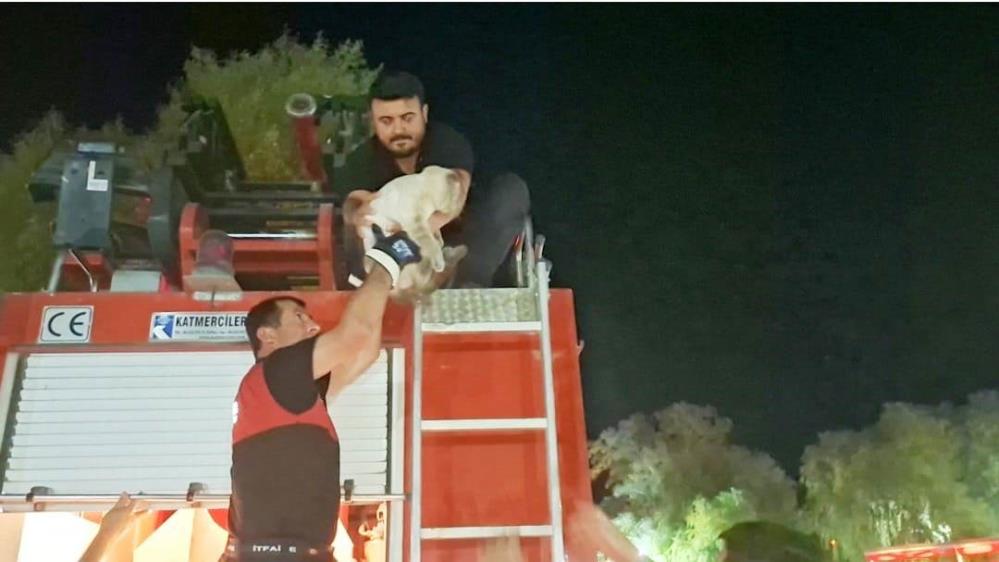 Yürekleri Isıtan Kurtarma Operasyonu! AW515723 01 - Marmara Bölge Gazetesi