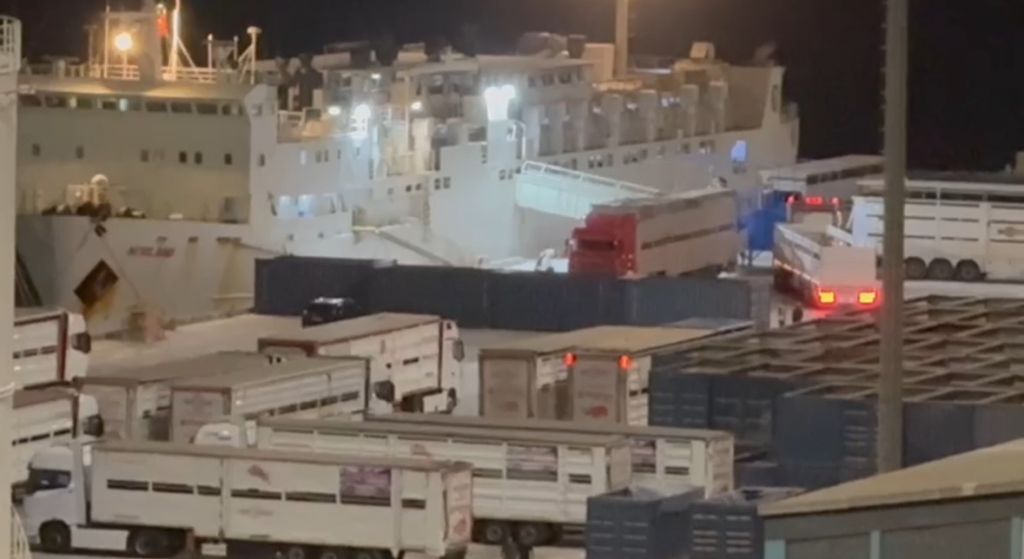 Bandırma’da Angus Krizi: Yüzen Ahır Kenti Kokuya Boğdu AW517318 01 - Marmara Bölge Gazetesi