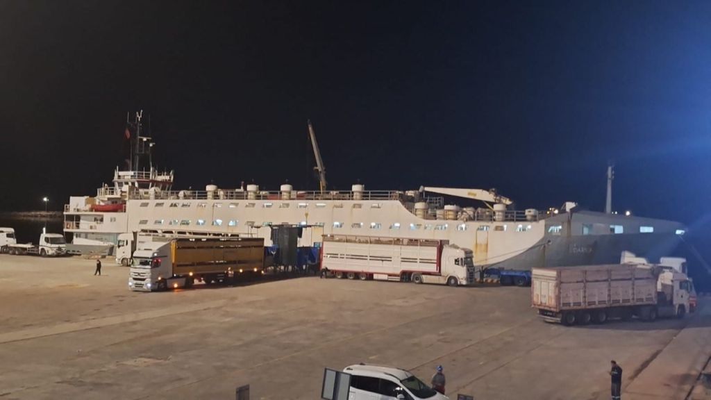 Bandırma’da Angus Krizi: Yüzen Ahır Kenti Kokuya Boğdu AW517318 03 - Marmara Bölge Gazetesi