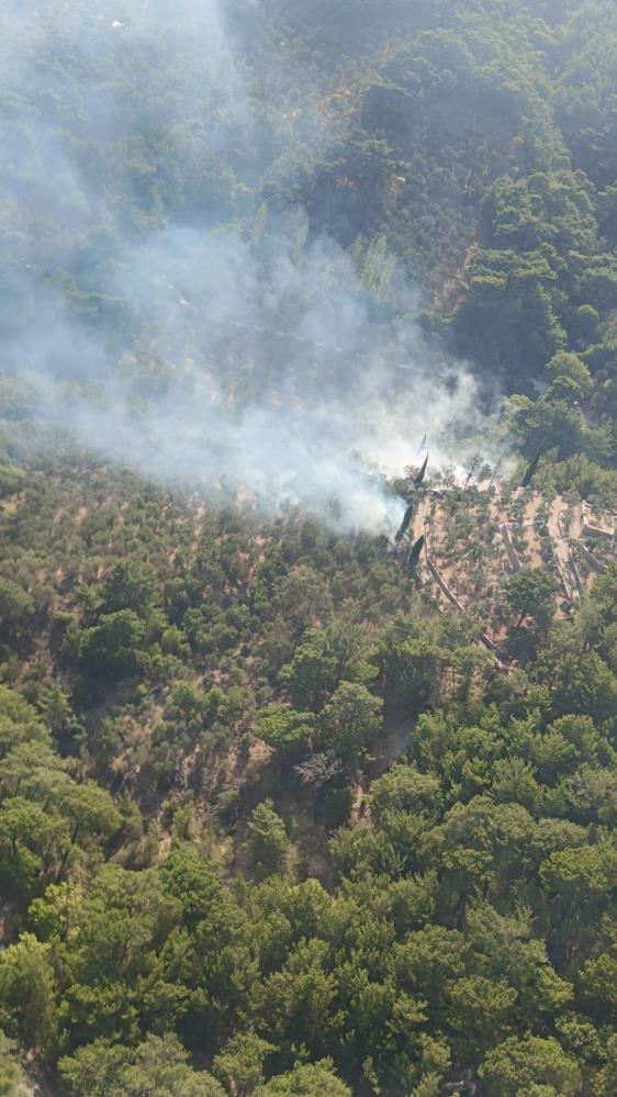 Balıkesir’in Edremit ilçesinde Kazdağları Milli Parkı’nda çıkan orman yangını kısa