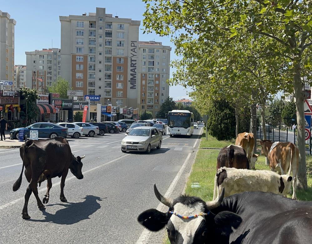 AW520218 01 - Marmara Bölge Gazetesi