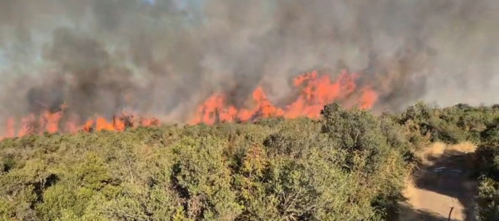 Susurluk’ta Orman Yangını Kontrol Altına Alındı! AW524664 01 - Marmara Bölge Gazetesi