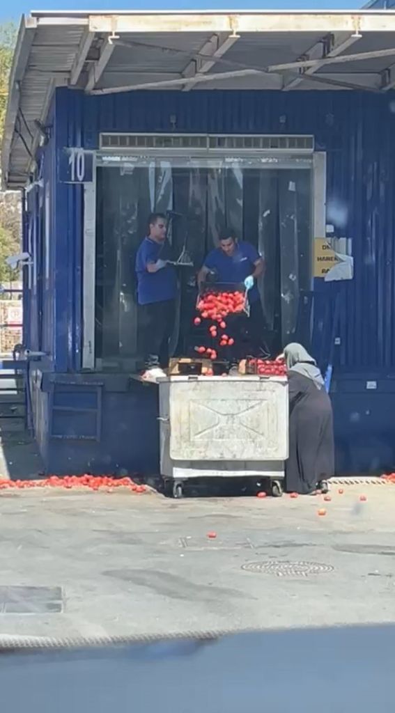Kasalarca Domates Çöpe Döktüler! AW524947 01 - Marmara Bölge Gazetesi