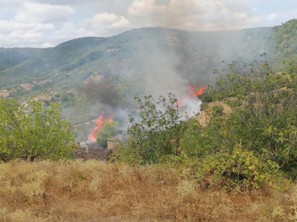 Balıkesir’in Gönen ilçesine bağlı Yürükkeçidere Mahallesi’nde çıkan yangın paniğe yol