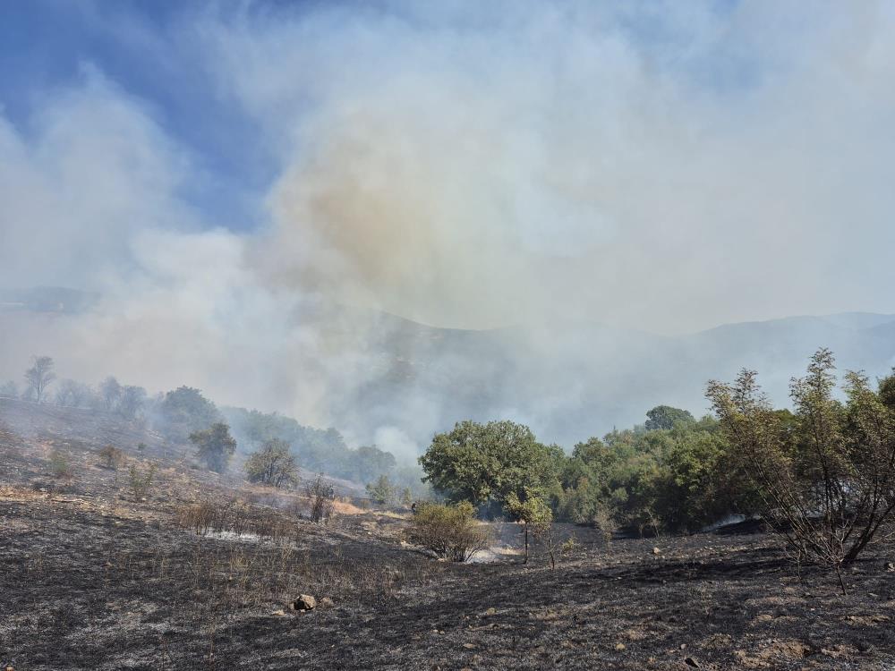 Balıkesir’in Kepsut ilçesinde çıkan tarla yangını kısa sürede büyüyerek ormanlık