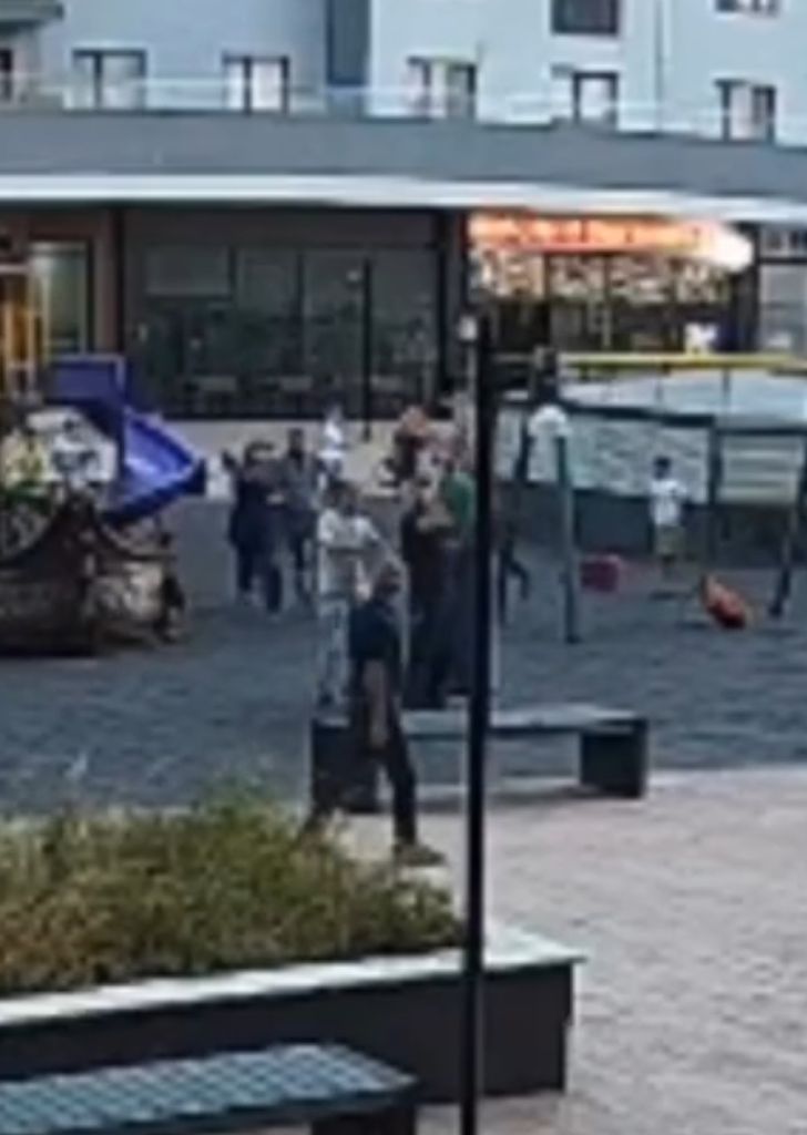Parkta Oynayan Çocukları Sebepsizce Yerden Yere Vurdu! AW528014 01 - Marmara Bölge Gazetesi