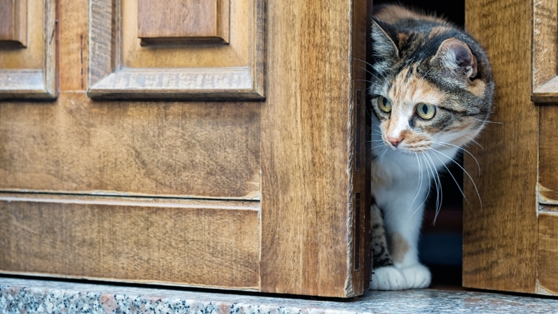 Adsiz tasarim 1 100 - Marmara Bölge Gazetesi