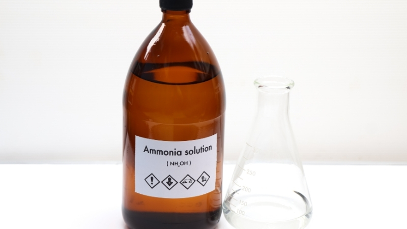 Evinizi Farelere Karşı Koruyacak Gizli Yöntem! Adsiz tasarim 1 133 - Marmara Bölge Gazetesi