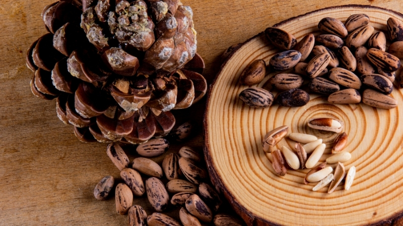 Günde 2 Kaşıkla Vücudu Yeniliyor! Adsiz tasarim 1 146 - Marmara Bölge Gazetesi