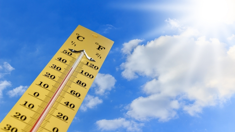 Adsiz tasarim 1 244 - Marmara Bölge Gazetesi