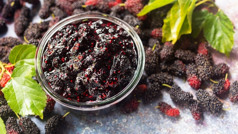 Adsiz tasarim 1 258 - Marmara Bölge Gazetesi