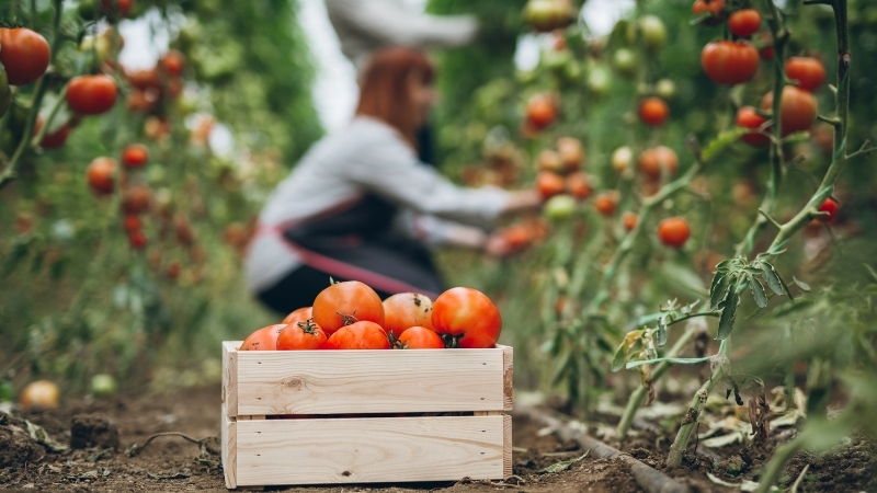 Adsiz tasarim 1 61 - Marmara Bölge Gazetesi